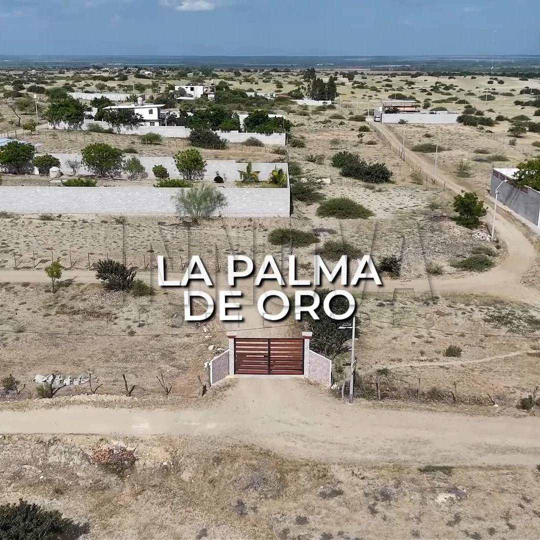 Lote de Terreno en Venta en Condominio La Palma de Oro